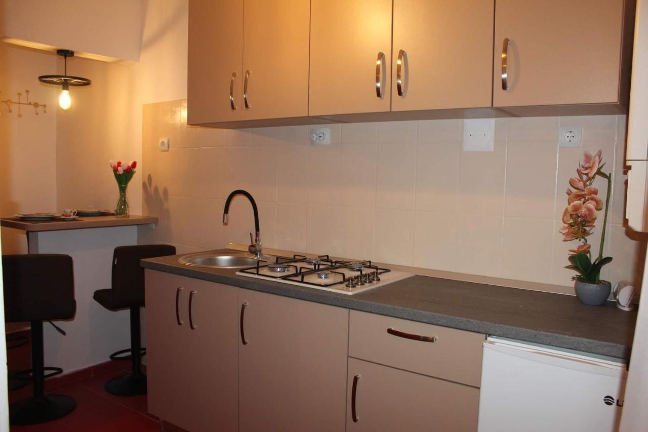 Apartament Dania & Petru Appartement Tîrgu Ocna Buitenkant foto
