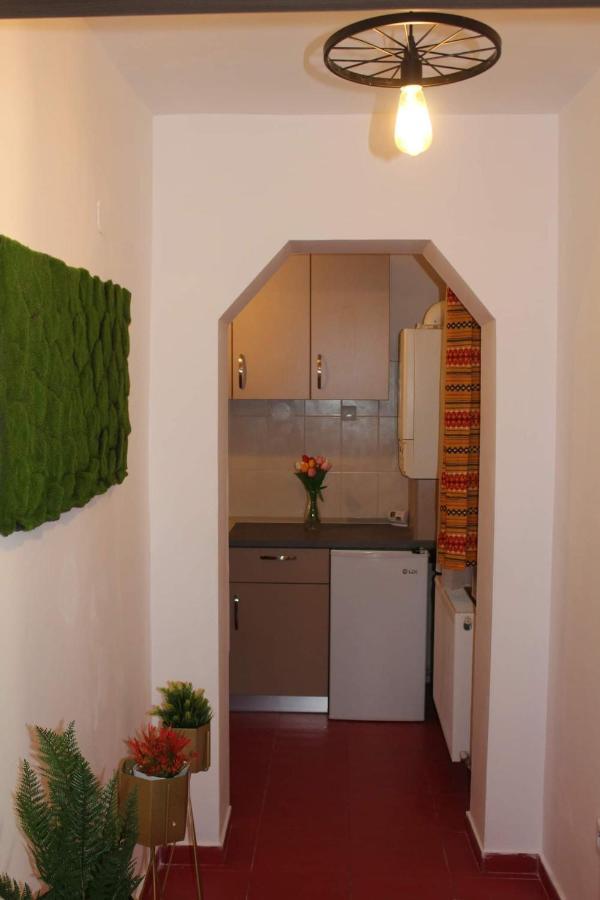 Apartament Dania & Petru Appartement Tîrgu Ocna Buitenkant foto