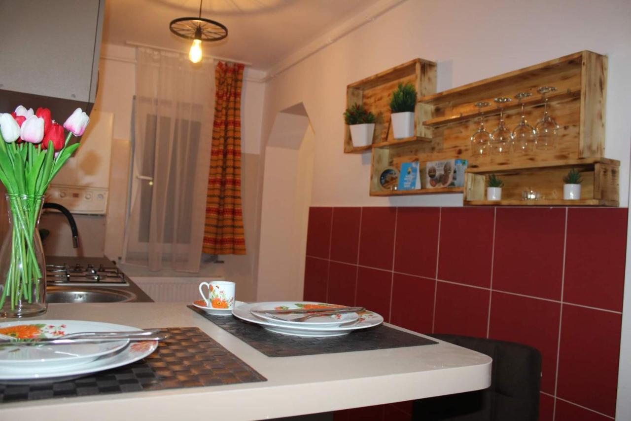 Apartament Dania & Petru Appartement Tîrgu Ocna Buitenkant foto